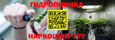 амф Пугачёв