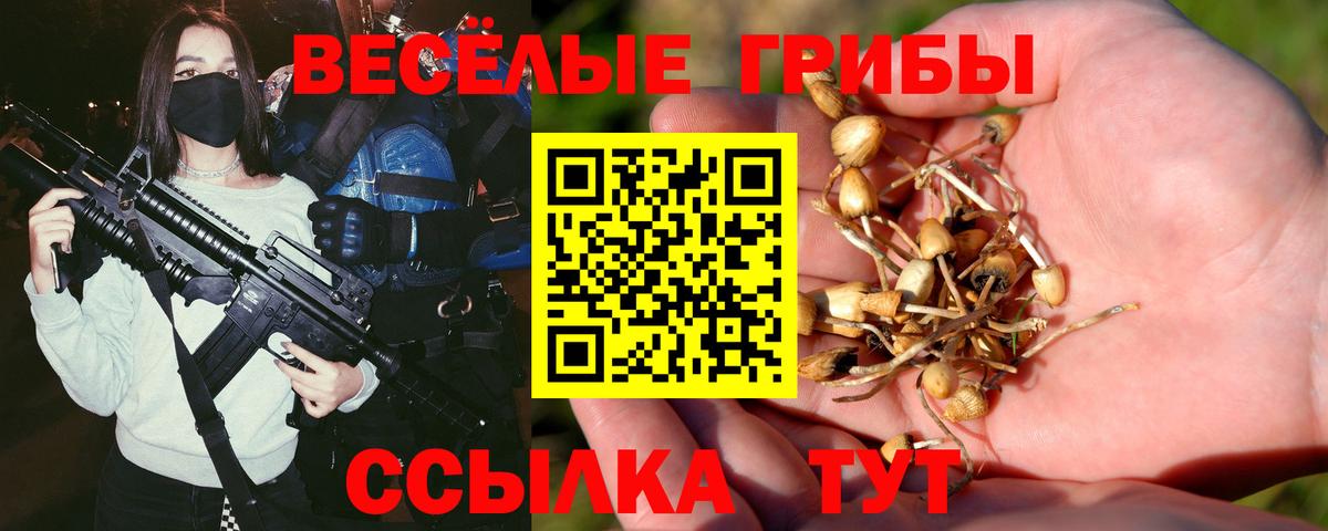 Галлюциногенные грибы ЛСД  Вход с VPN  Рыбинск 