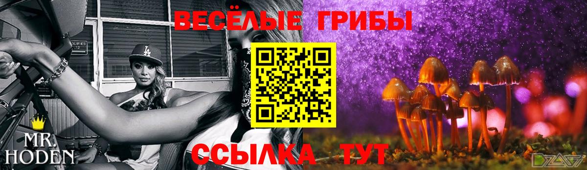 Галлюциногенные грибы мухоморы Рыбинск